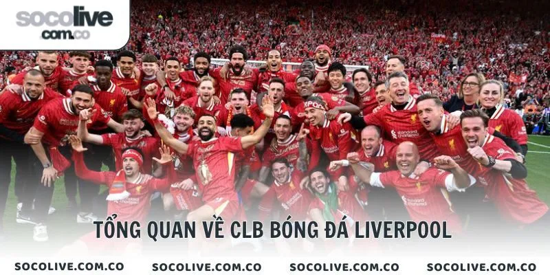 Tổng quan về CLB bóng đá Liverpool