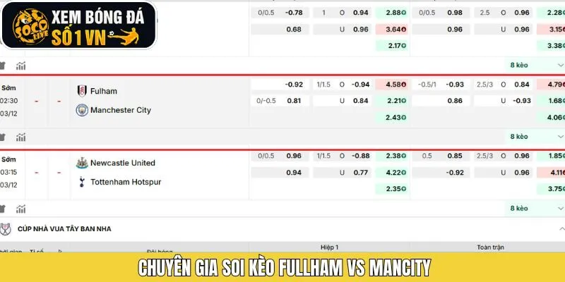 Nhận định chi tiết các tỷ lệ cược Fulham và Mancity